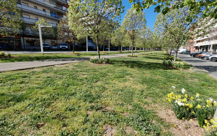 Transfer - Clinica -
Sant Cugat del Vall&egrave;s