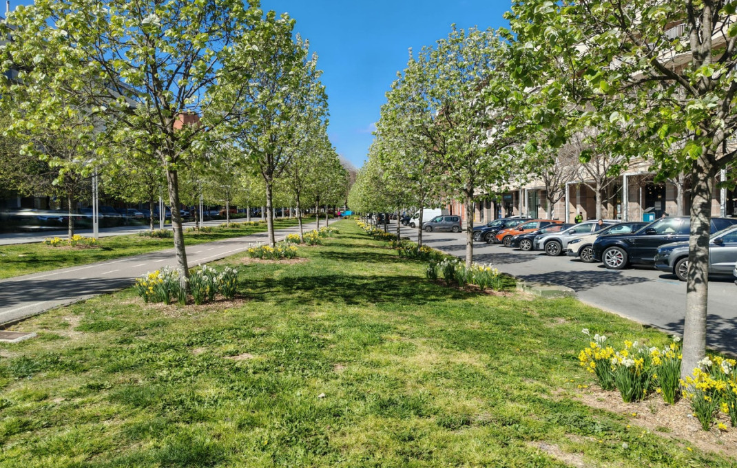 Transfer - Clinica -
Sant Cugat del Vall&egrave;s