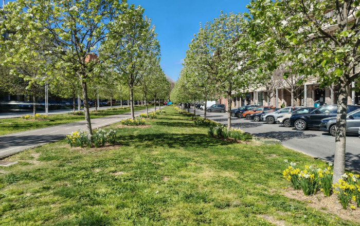 Transfer - Clinica -
Sant Cugat del Vall&egrave;s