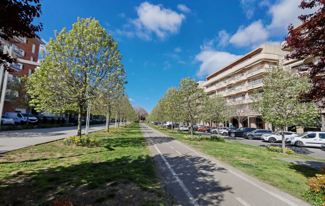 Transfer - Clinica -
Sant Cugat del Vall&egrave;s