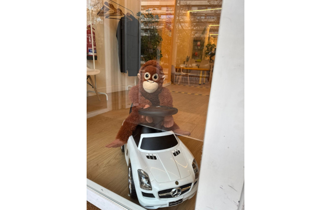 Traspaso - Centro Educativo -
Barcelona - Eixample