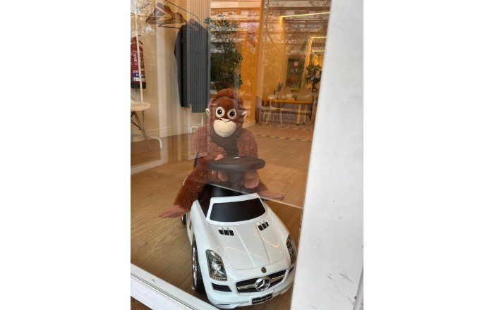 Traspaso - Centro Educativo -
Barcelona - Eixample