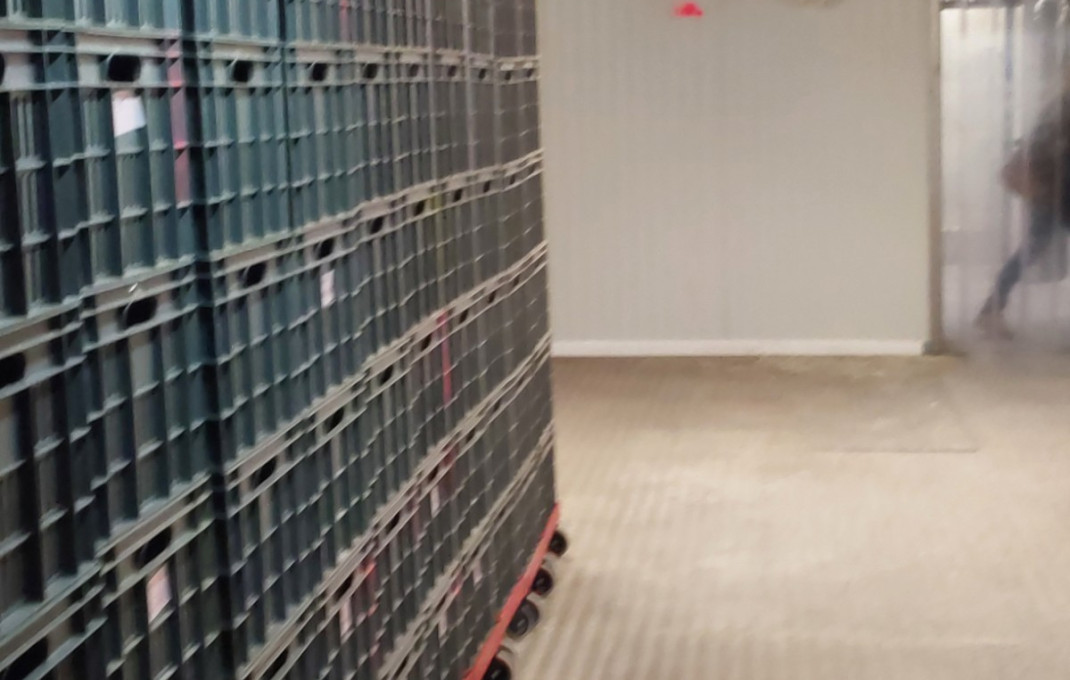 Alquiler - Obradores y/o Panaderias -
Lli&ccedil;&agrave; d'Amunt