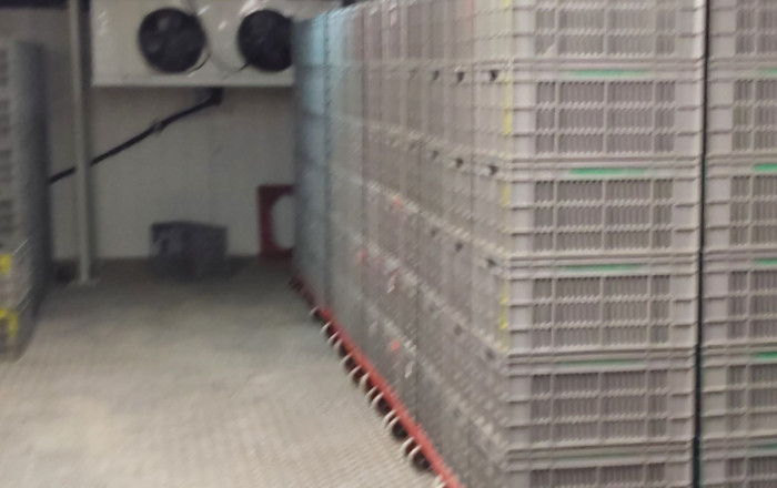 Alquiler - Obradores y/o Panaderias -
Lli&ccedil;&agrave; d'Amunt