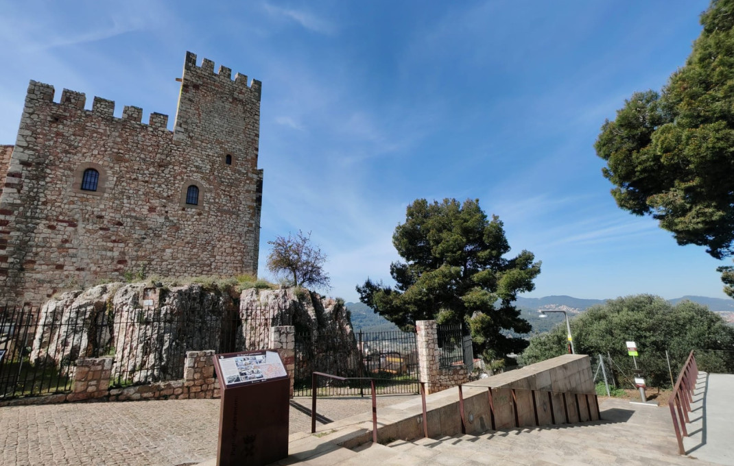 Transfer - Bar- C1 -
El Papiol