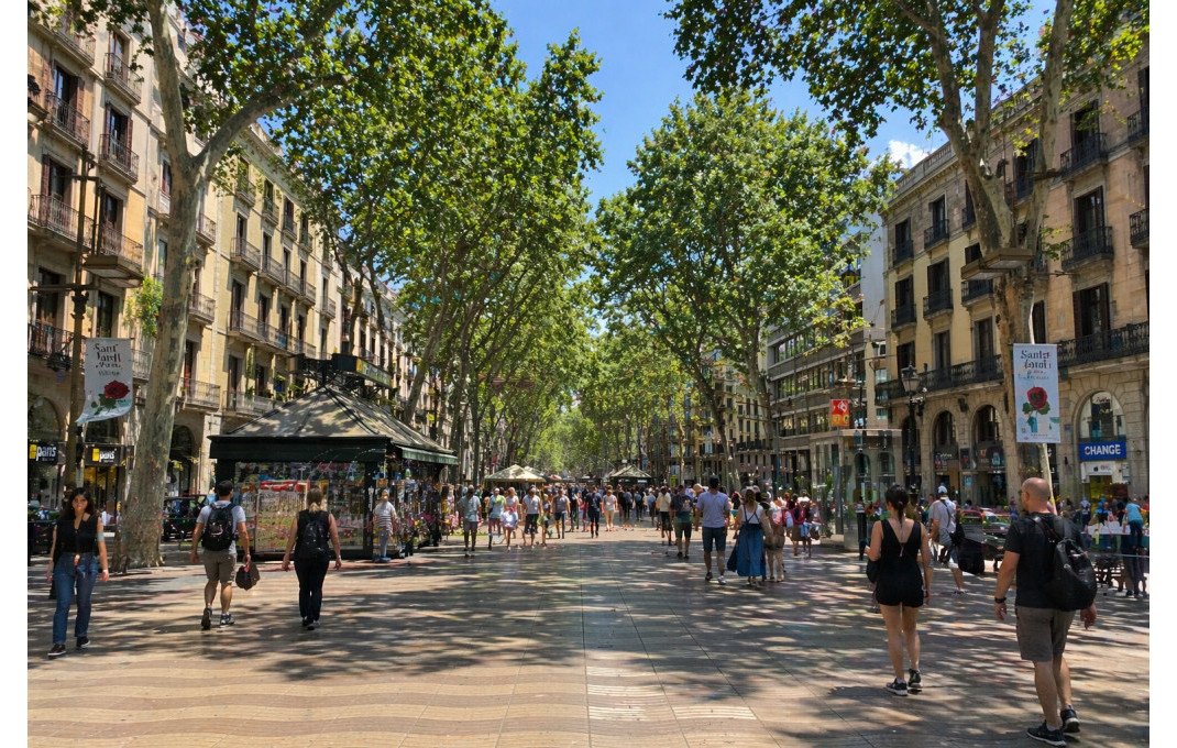 Transfer - Bar Restaurante -
Barcelona - Eixample Derecho