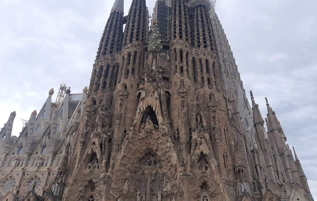 Transfer - Bar- C1 -
Barcelona - Sagrada familia