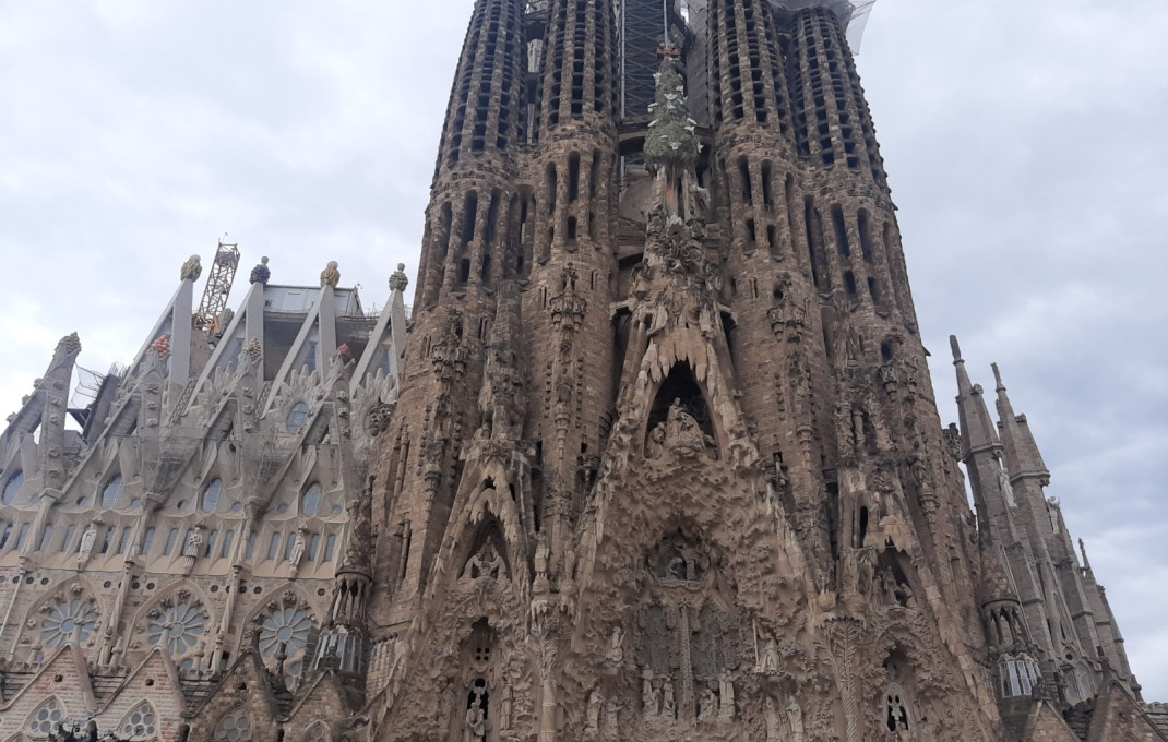 Transfer - Bar- C1 -
Barcelona - Sagrada familia
