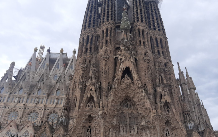 Transfer - Bar- C1 -
Barcelona - Sagrada familia