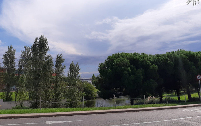 Traspaso - Bar Restaurante -
Castelldefels