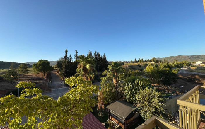 Venta - Hotel 2 Estrellas -
Jaén  - Jaén
