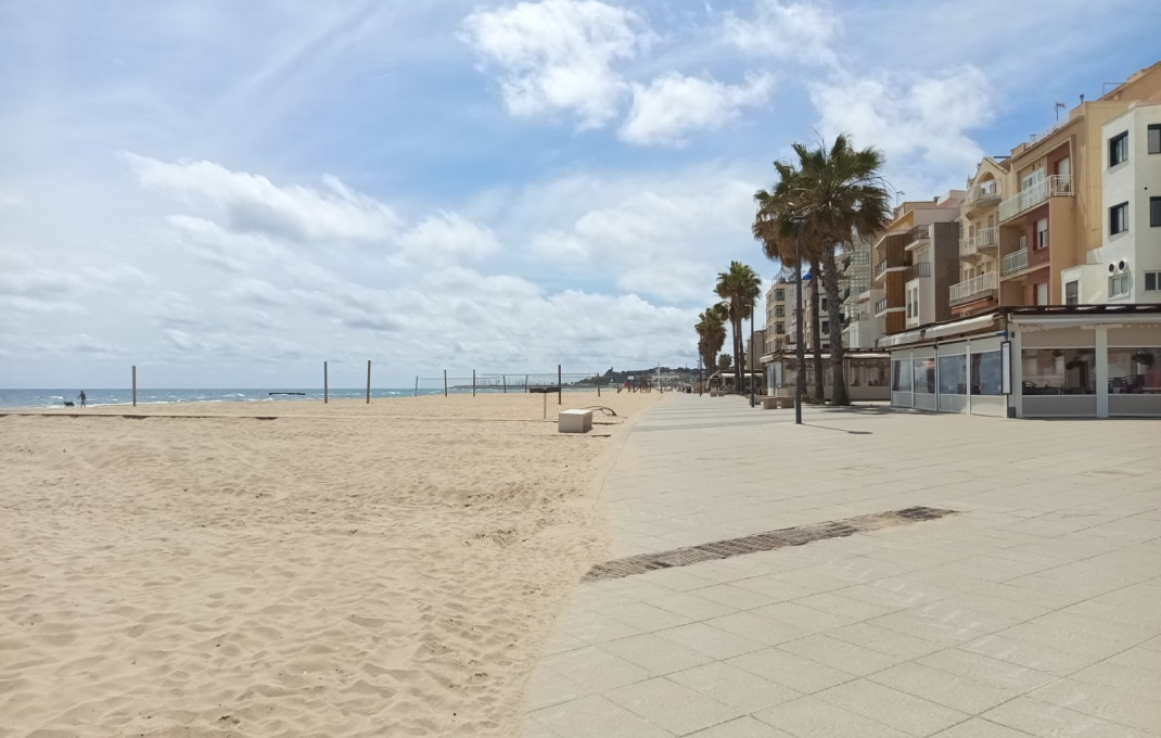 Transfer - Bar Restaurante -
Tarragona - Torredembarra