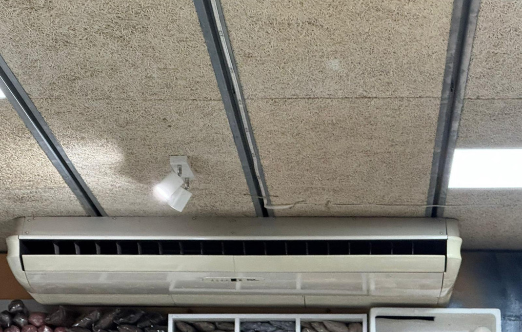Traspaso - Tiendas -
L'Hospitalet de Llobregat - Collblanc