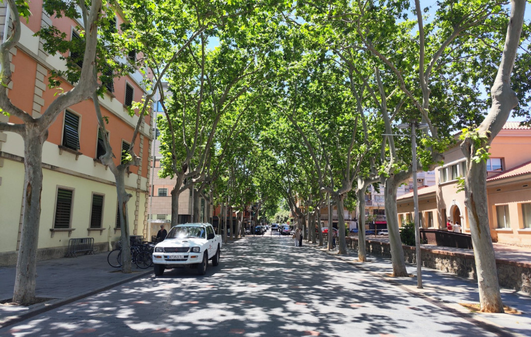 Traspaso - Bar Restaurante -
Castelldefels