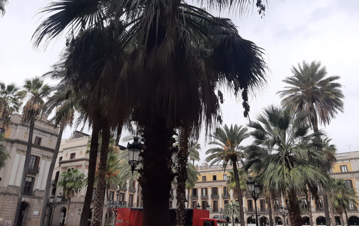 Traspaso - Bar Restaurante -
Barcelona - Ciutat Vella