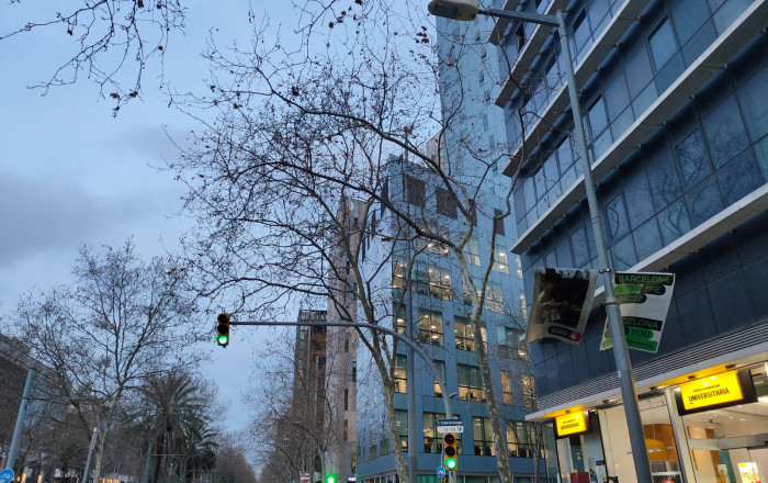 Traspaso - Licencia C2 -
Barcelona - Poblenou