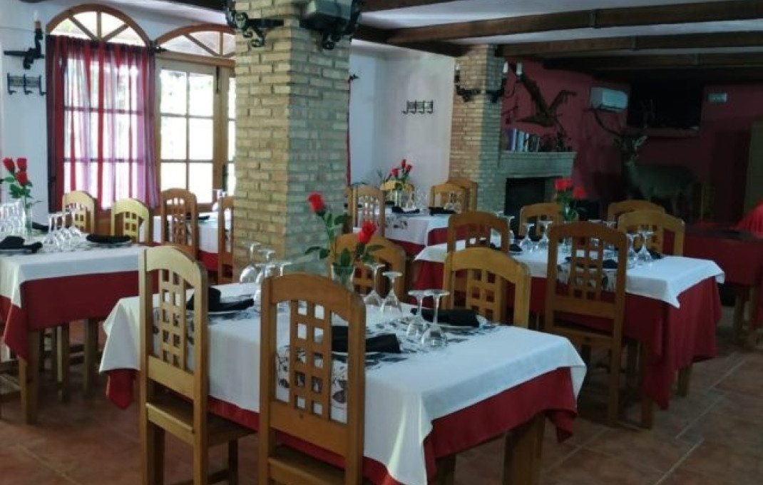 Venta - Apartamentos Turísticos -
Jaén  - Jaén