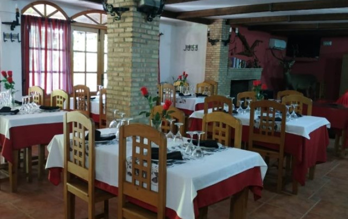Venta - Apartamentos Turísticos -
Jaén  - Jaén