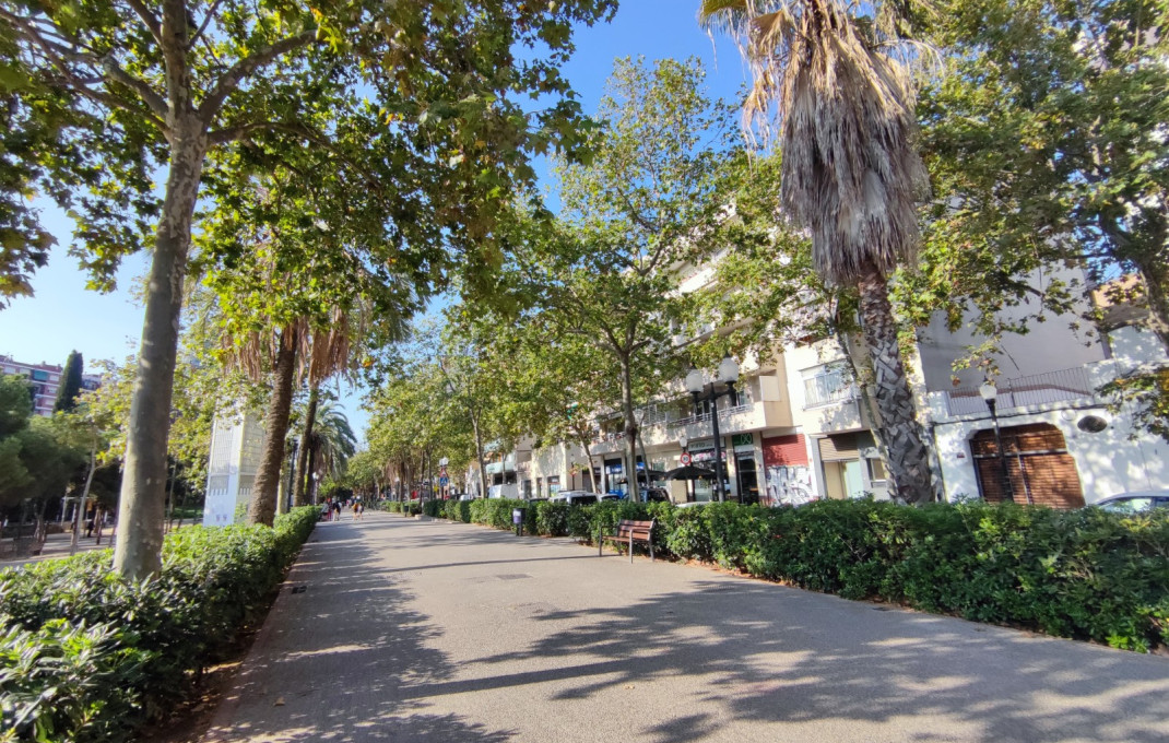 Transfer - Licencia C2 -
Barcelona - Clot