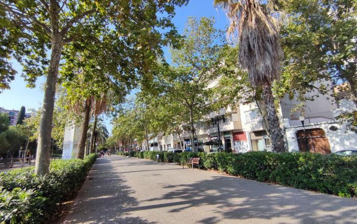 Transfer - Licencia C2 -
Barcelona - Clot