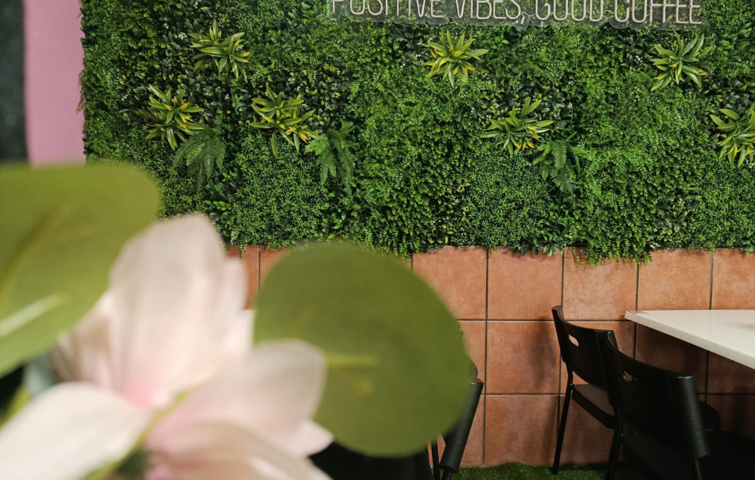 Traspaso - Bar Restaurante -
Vilanova i la Geltrú