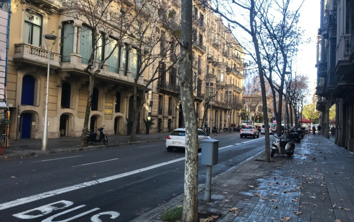 Transfert - Cafeteria -
Barcelona - Eixample Izquierdo