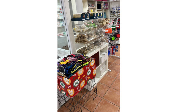 Traspaso - Tiendas -
Girona