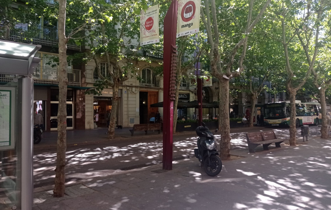 Venta en rentabilidad - Local comercial -
Sabadell