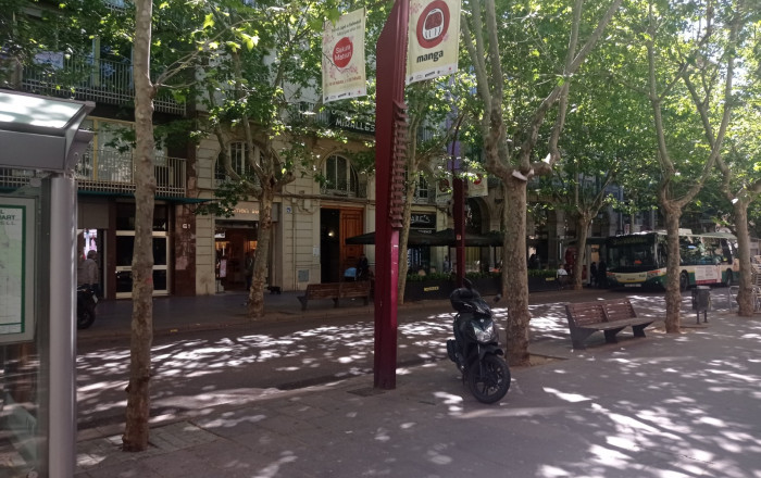 Venta en rentabilidad - Local comercial -
Sabadell