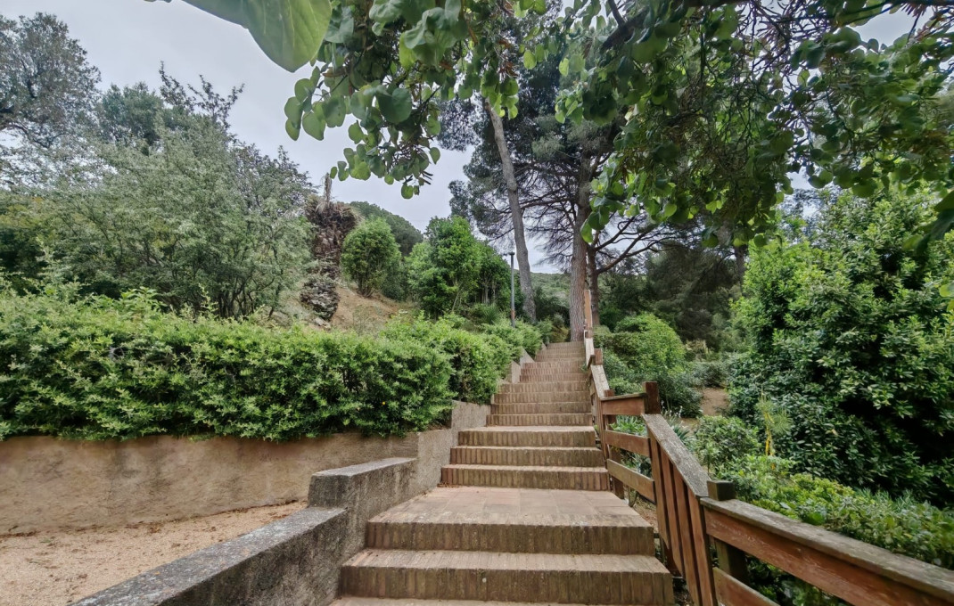 Traspaso - Masía -
Montcada i Reixac