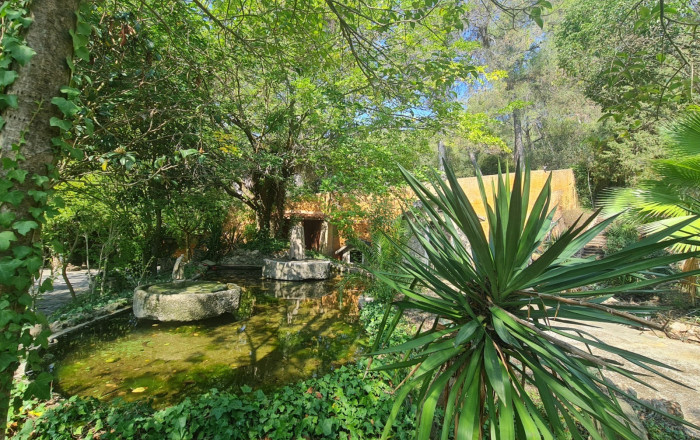 Venta - Masía -
Badalona