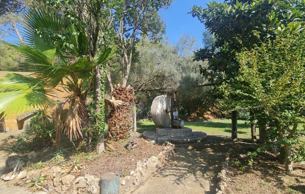 Venta - Masía -
Badalona