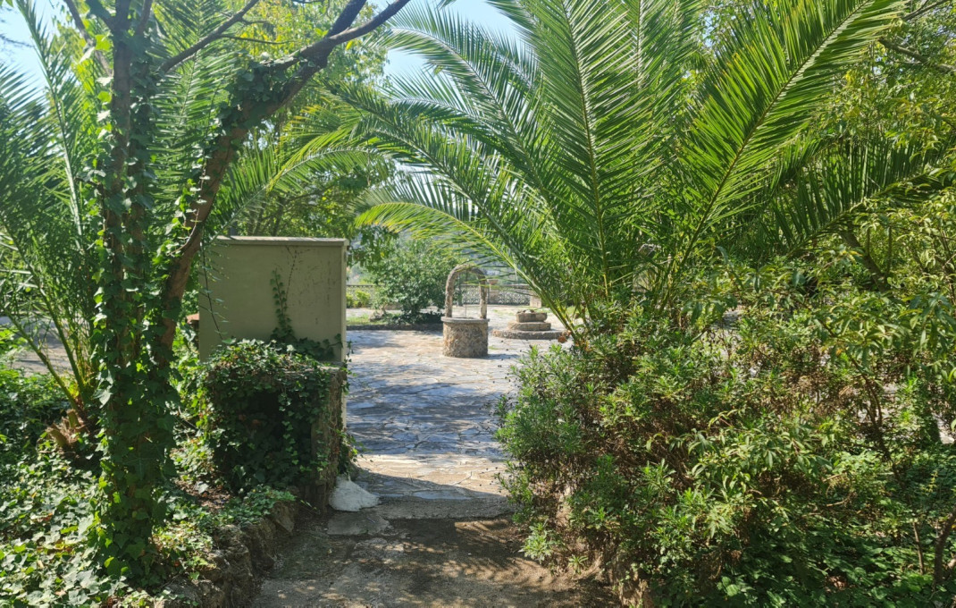 Venta - Masía -
Badalona