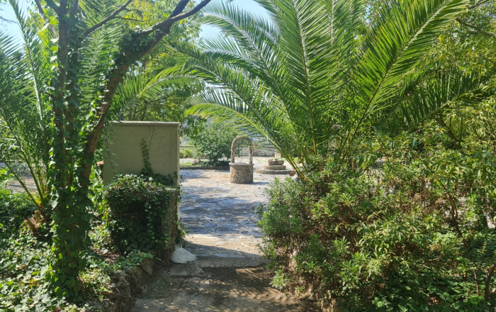 Venta - Masía -
Badalona
