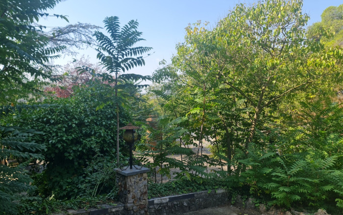 Venta - Masía -
Badalona