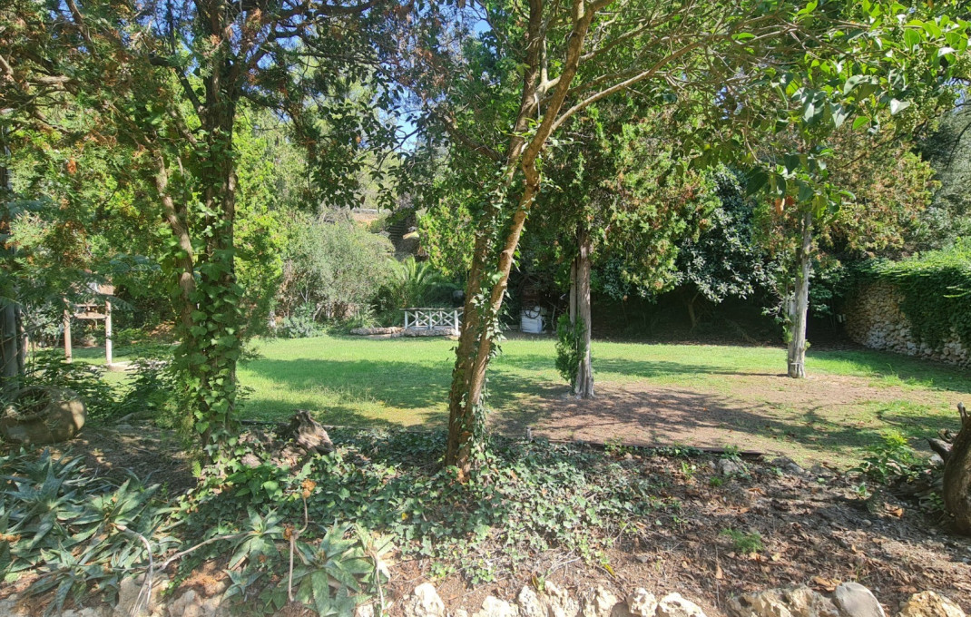 Venta - Masía -
Badalona