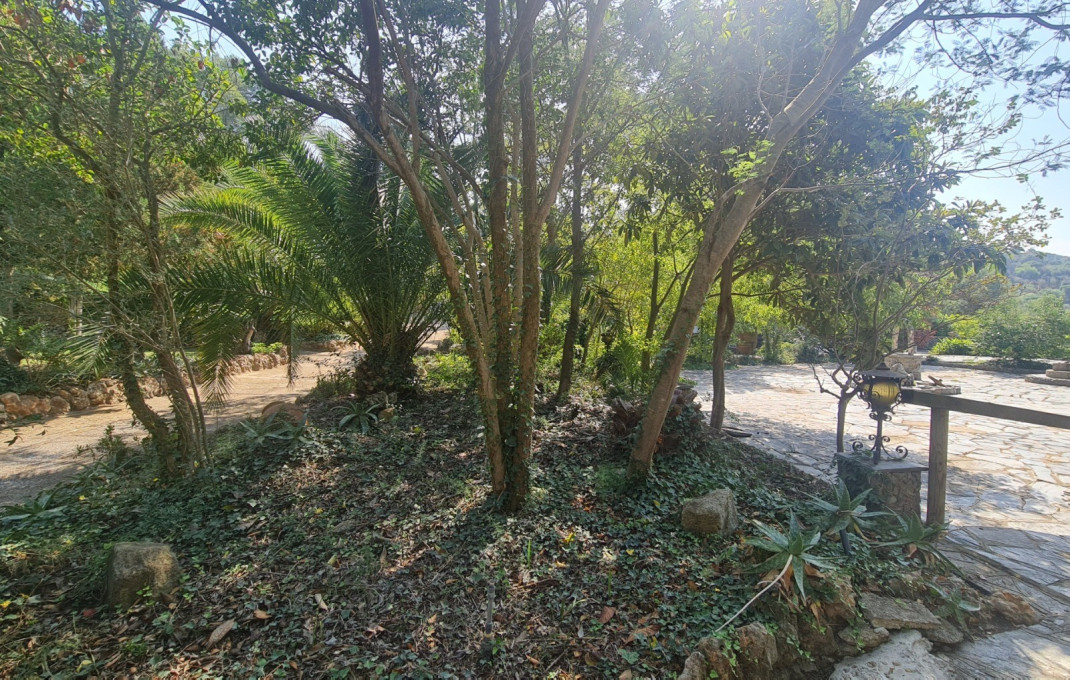 Venta - Masía -
Badalona