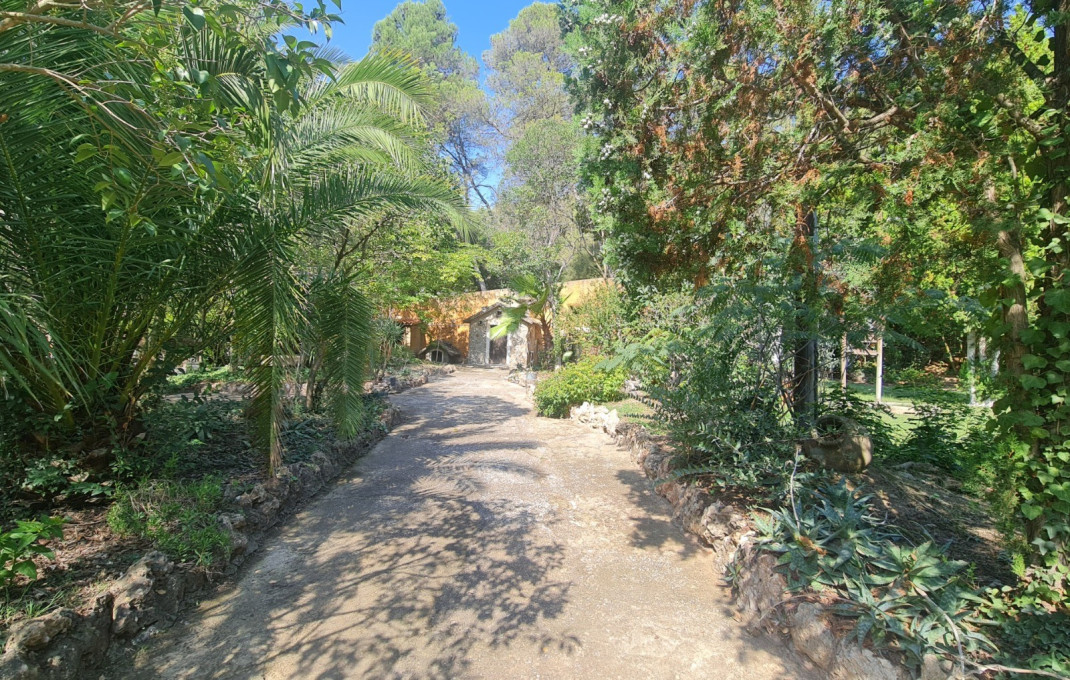 Venta - Masía -
Badalona