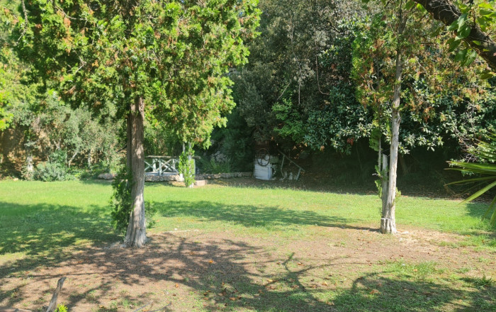 Venta - Masía -
Badalona