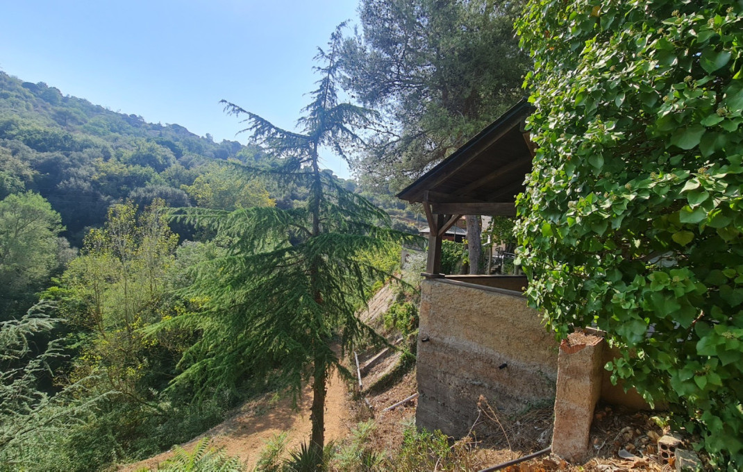 Venta - Masía -
Badalona