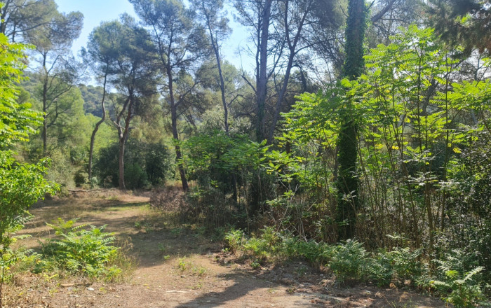 Venta - Masía -
Badalona