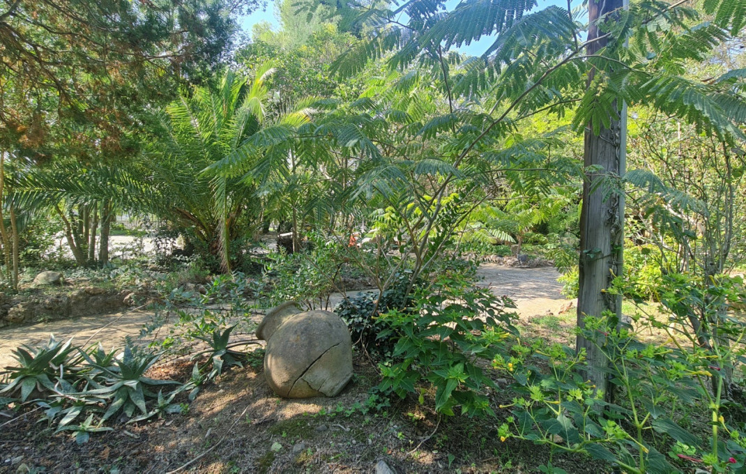 Venta - Masía -
Badalona