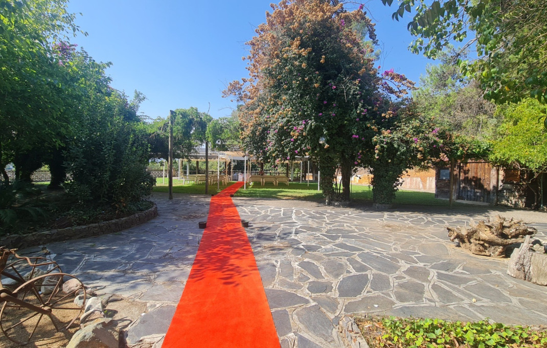 Venta - Masía -
Badalona
