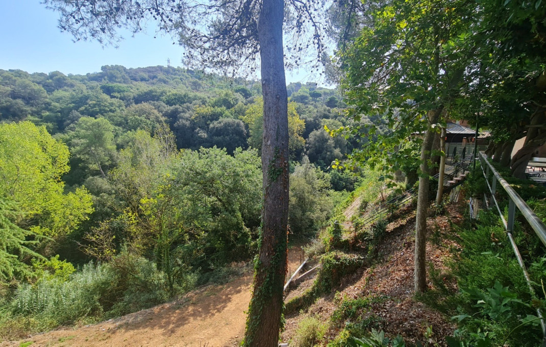 Venta - Masía -
Badalona