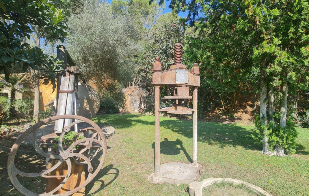 Venta - Masía -
Badalona