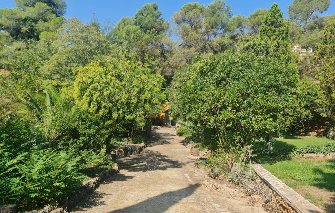 Venta - Masía -
Badalona