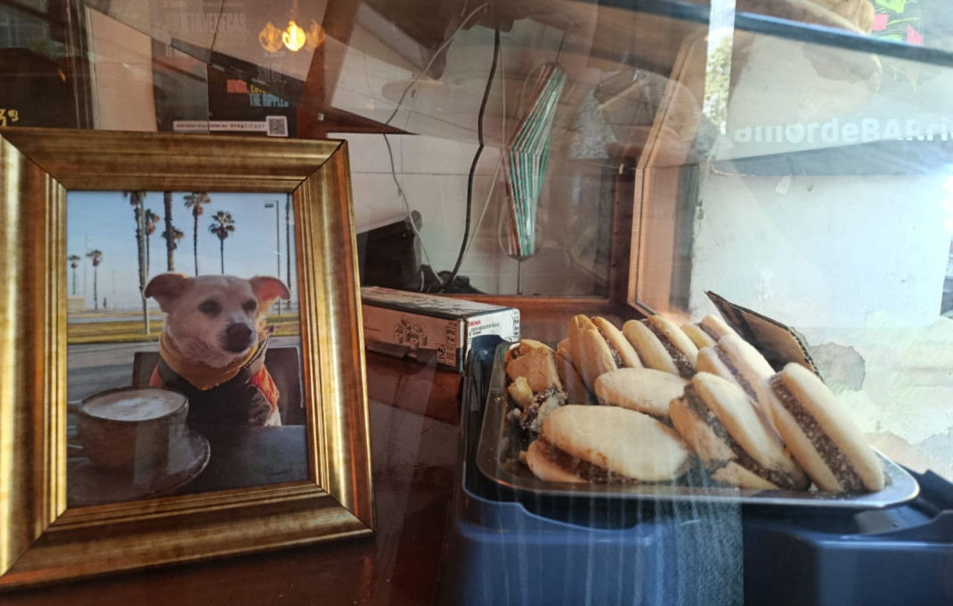 Transfer - Take Away -
Barcelona - Eixample