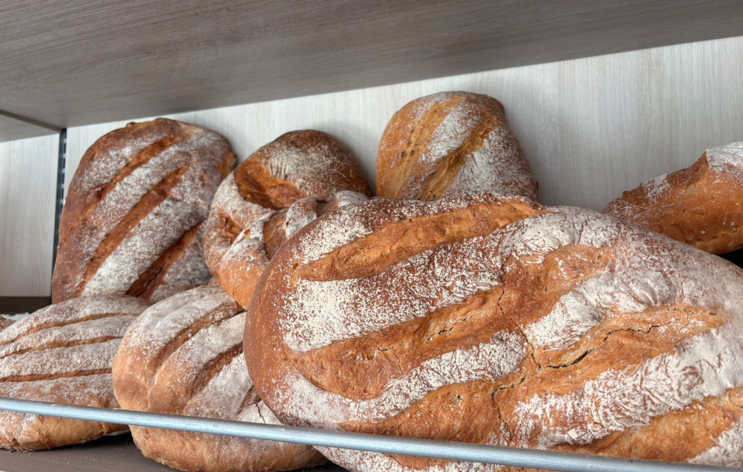 Traspaso - Obradores y/o Panaderias -
El Prat de Llobregat