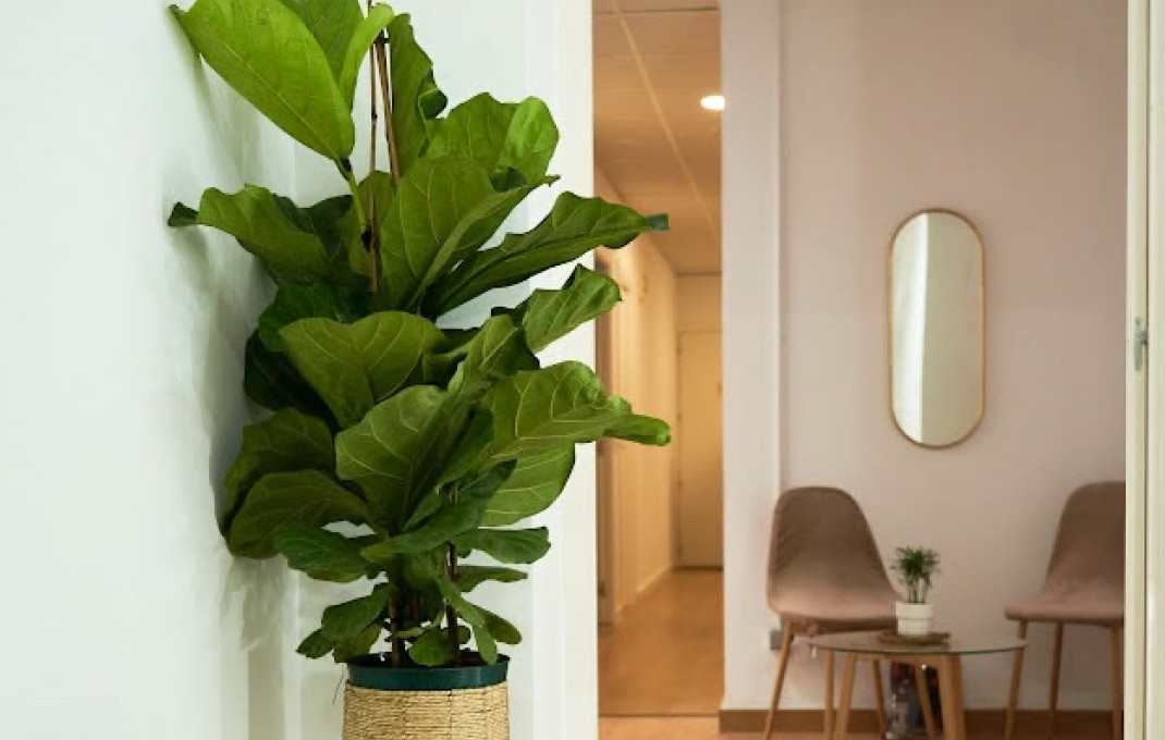 Traspaso - Peluquerias y Estetica -
Barcelona - Eixample