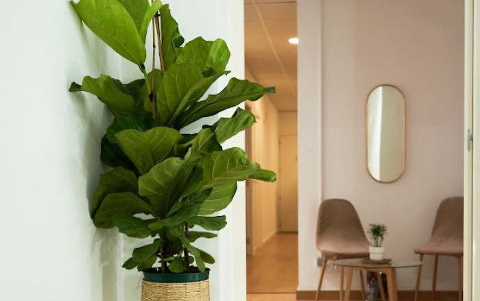 Traspaso - Peluquerias y Estetica -
Barcelona - Eixample